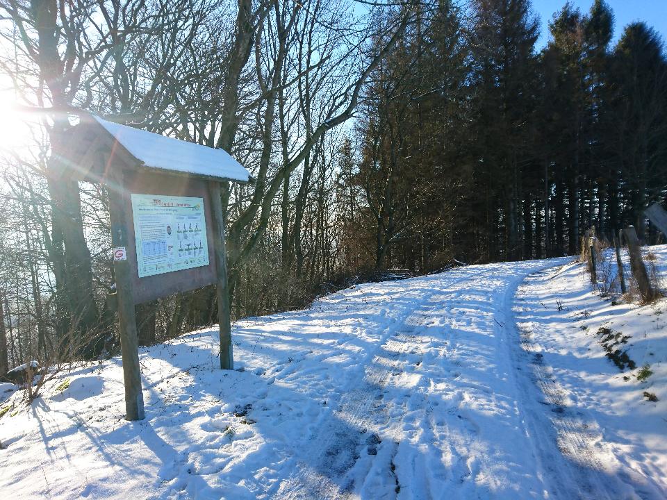 Schnee liegt auf dem Feldweg vor uns und die Sonne scheint von links hinter der Wegbeschreibung hervor.